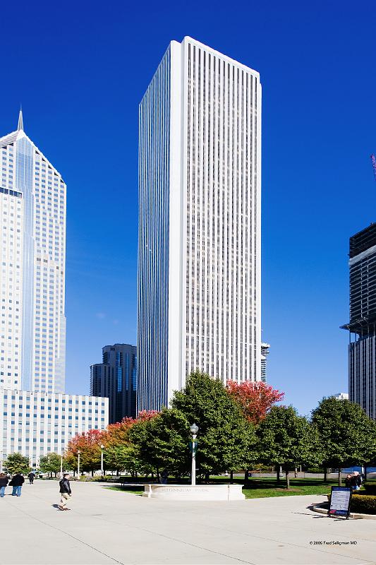 20081030_123936 D3 2x3 P1 srgb.jpg - Skyscrapers from Millenium Park.   This was built on parts of Grant Park and completed in 2004.   It is a public park.